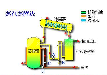 精油可以直接涂抹在臉上嗎？